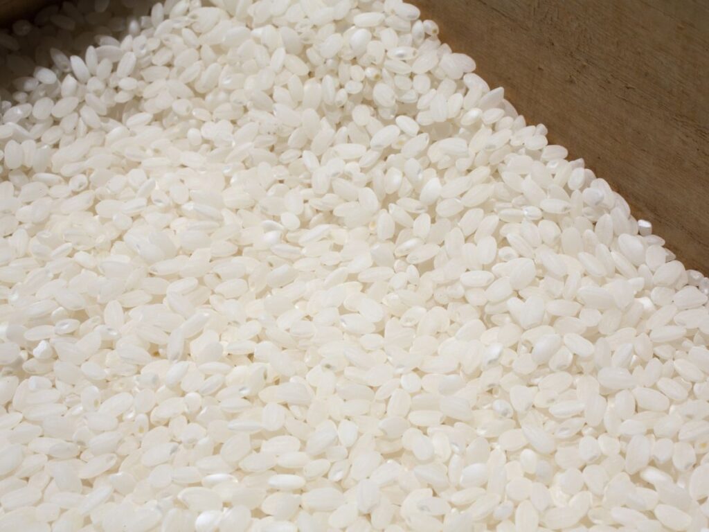 青色のご飯に注意!カビによる変色を見分けるコツ