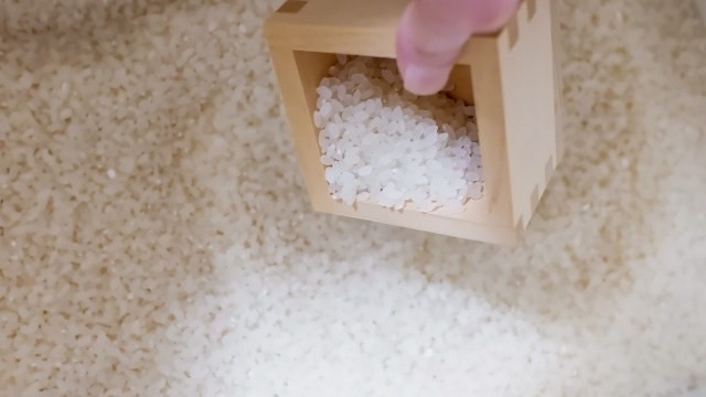 古米に見られるカビ画像から学ぶ、実際のリスク